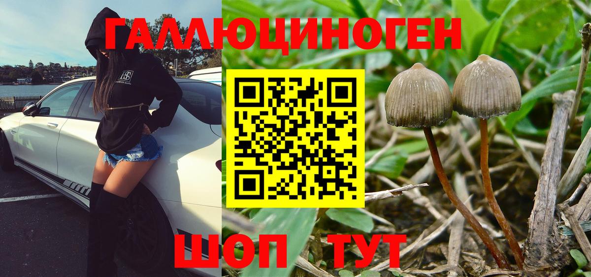 Псилоцибиновые грибы Magic Shrooms  закладка  Горно-Алтайск  Вход с VPN 